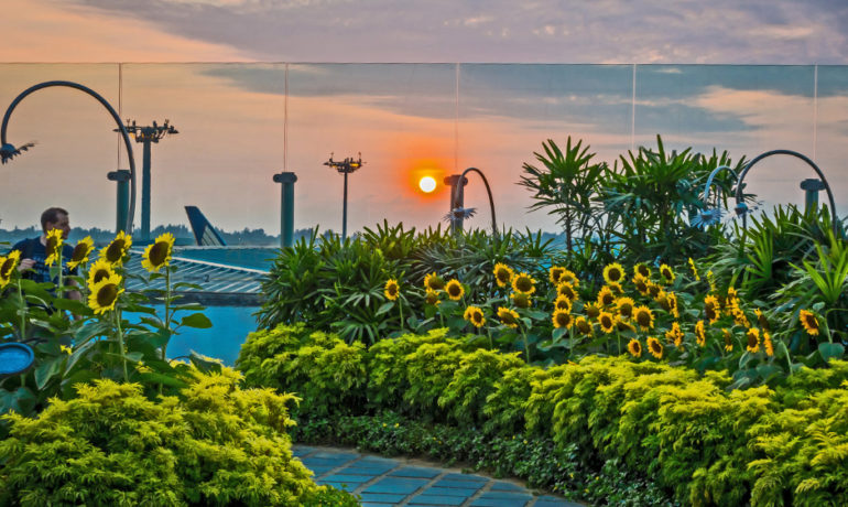 Бани, каток и райские сады: куда сходить в лучших аэропортах мира