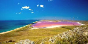 розовое озеро в Крыму
