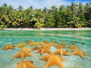 Пляж морских звезд Панама